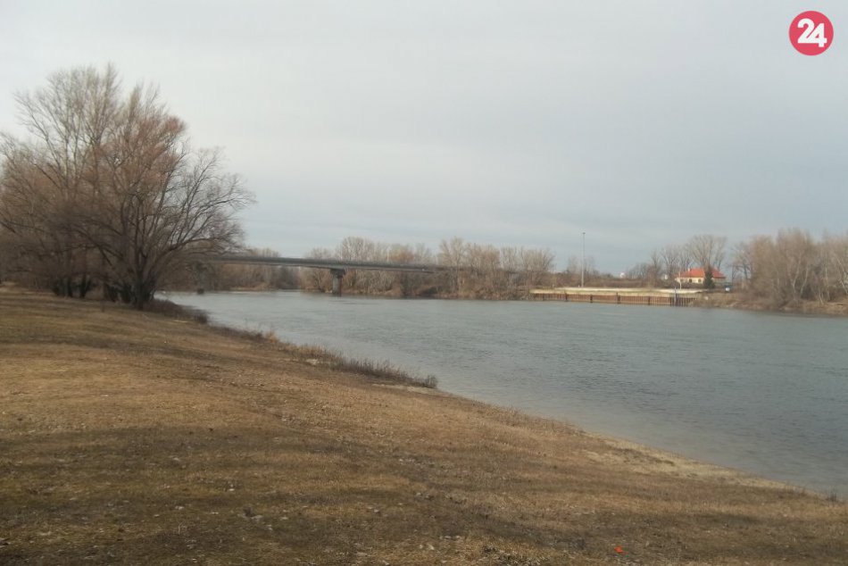 Ľadové medvede sa vrhli do Váhu: Štvorstupňová voda im bola príjemne teplá, FOTO