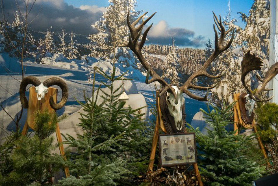 Agrokomplex v Nitre zaplnili poľovníci, rybári i včelári: FOTO