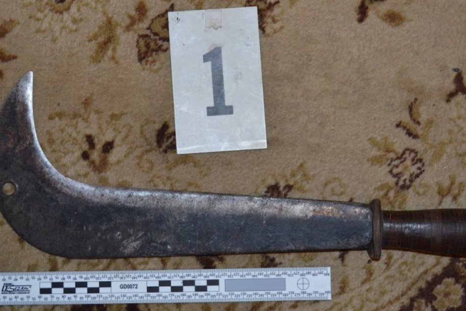 Erik (43) z Považskej Bystrice chytil do rúk mačetu a išiel s ňou po bratoch...