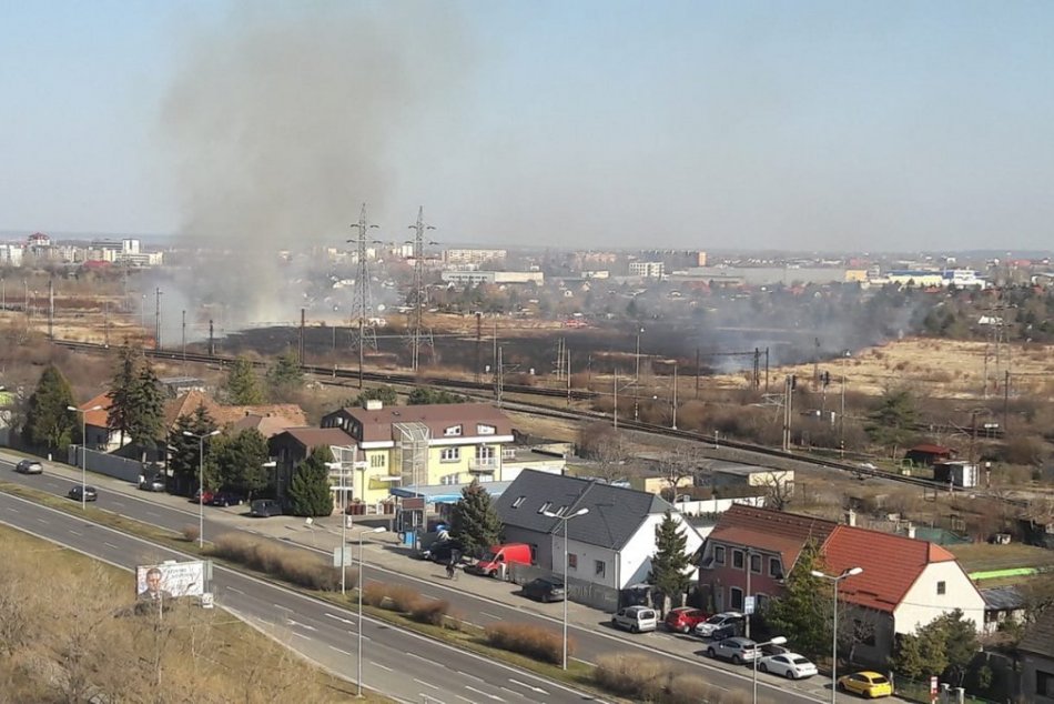 TOP 5 tém týždňa