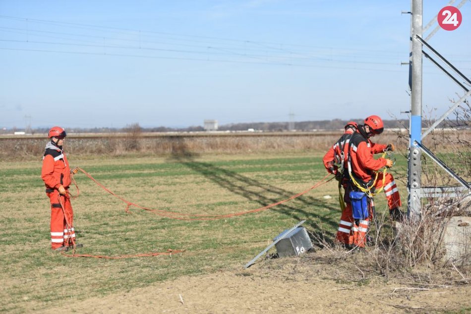Sokolmi bojujú proti hrabošom: V Siladiciach osádzajú búdky pre dravcov