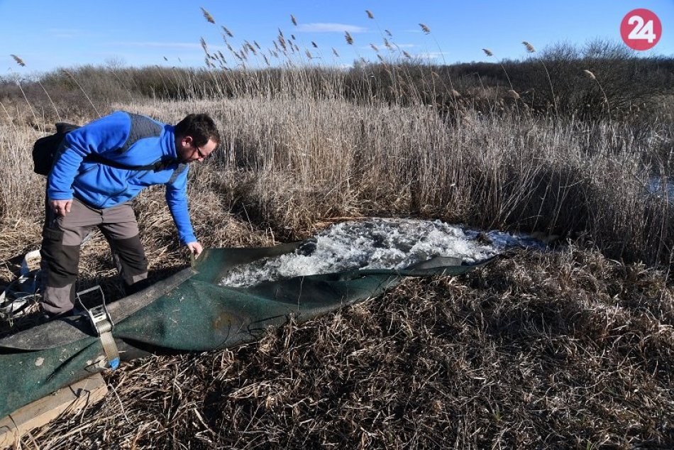Somotor mokrade močiar zavodnenie