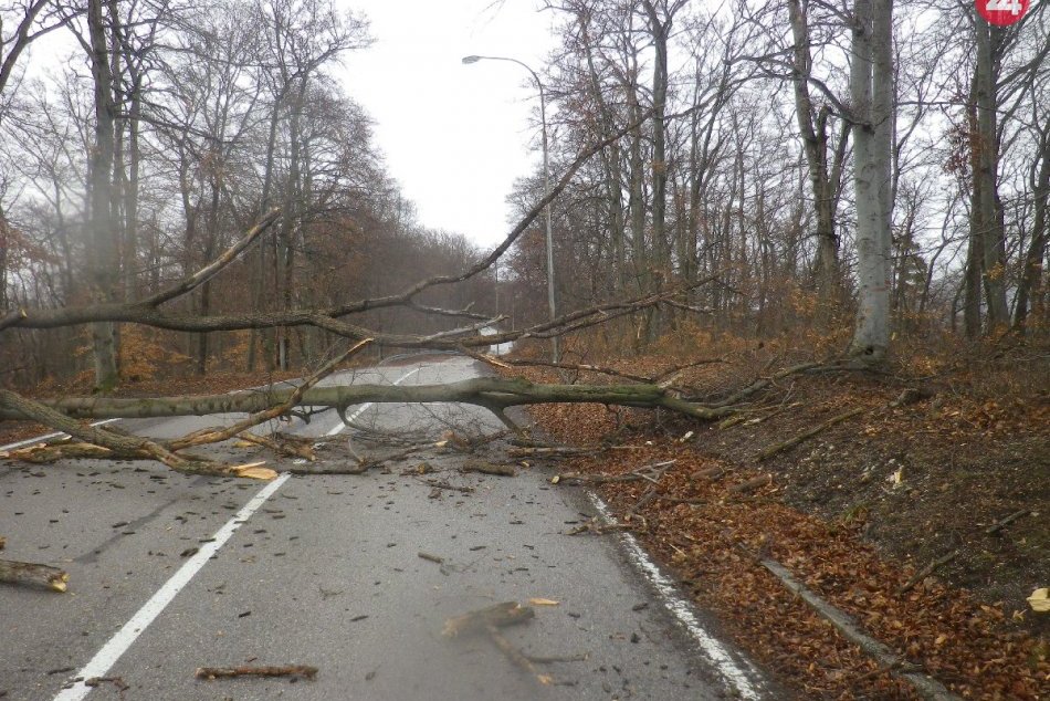 Aj toto museli riešiť hasiči v Trenčianskom kraji: Výjazdy aj v našom okrese