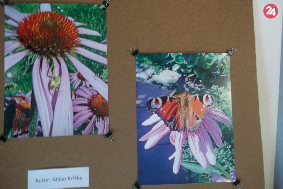 Prídťe sa jarne naladiť: Šaliansky domček ponúka Prebudené detaily, FOTO