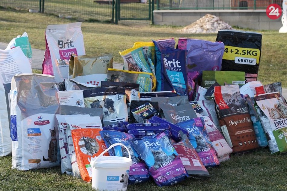 Naplň misku pre útulok