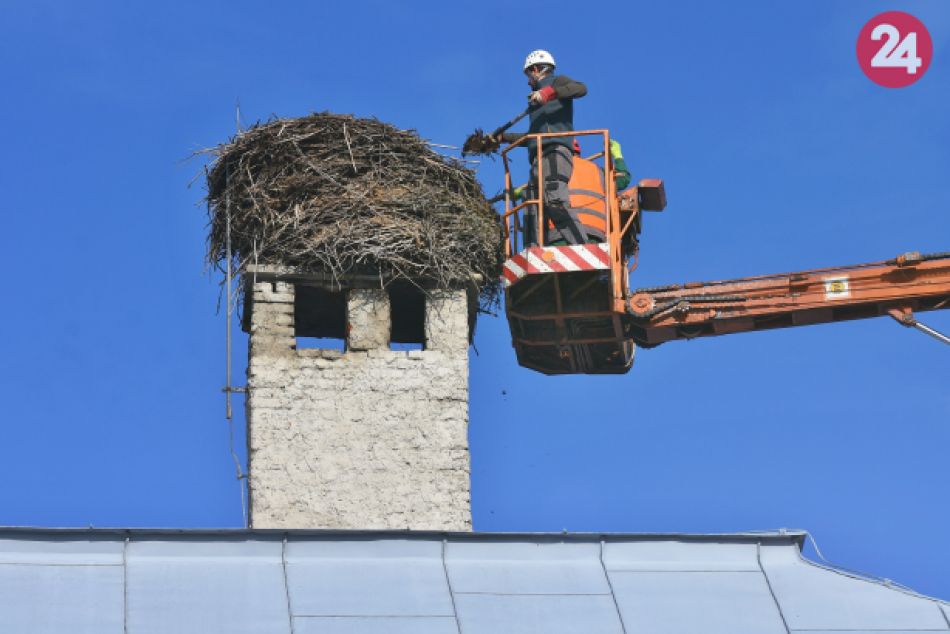 Bocianie hniezdo na mestskom úrade v Spišskej Belej vážilo viac ako tonu