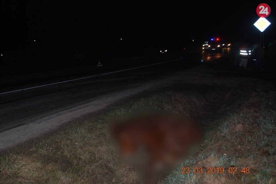 V okrese Dolný Kubín sa auto zrazilo s koňmi