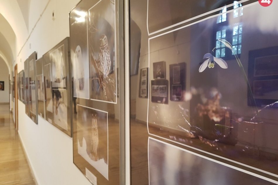 Trnavský objektív 2019