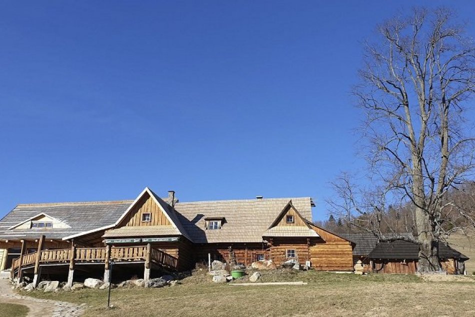 Pri lipe na Zbojskej sa kedysi schádzali zbojníci z družiny J. Surovca