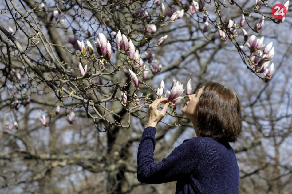 Do Bratislavy prišla jar