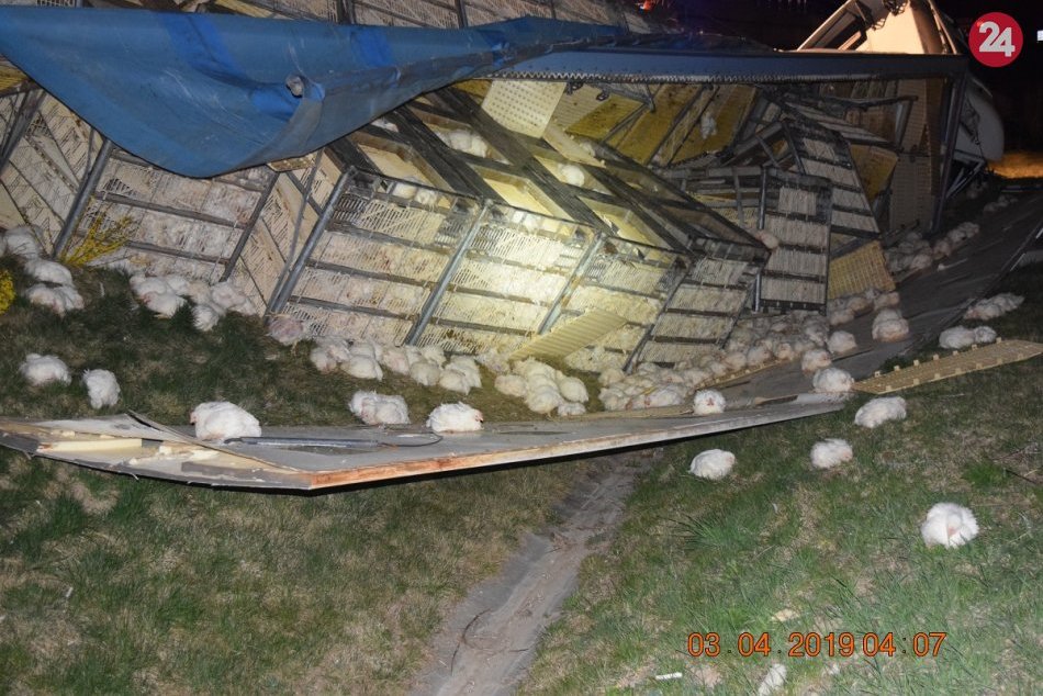 Hrozivá nehoda na R1: Kamión naložený hydinou zišiel z cesty a prevrátil sa