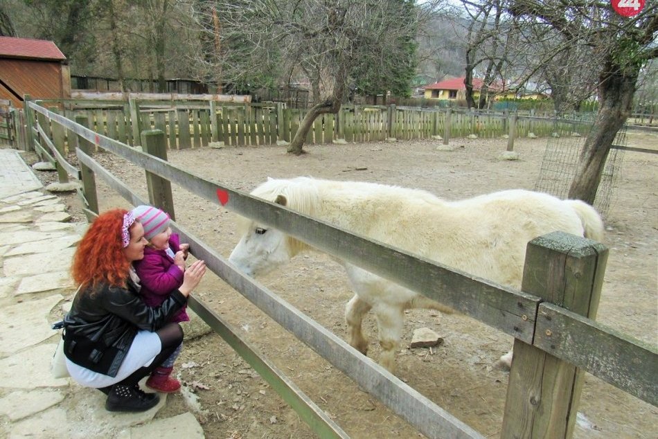 Mamičky v Prešove? Svoj čas rady trávia aj v týchto priestoroch