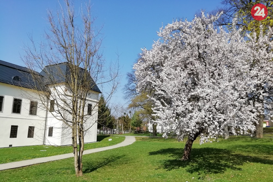 V Humennom sa už udomácnila jar: Aj takéto pekné výjavy v našom meste ponúka
