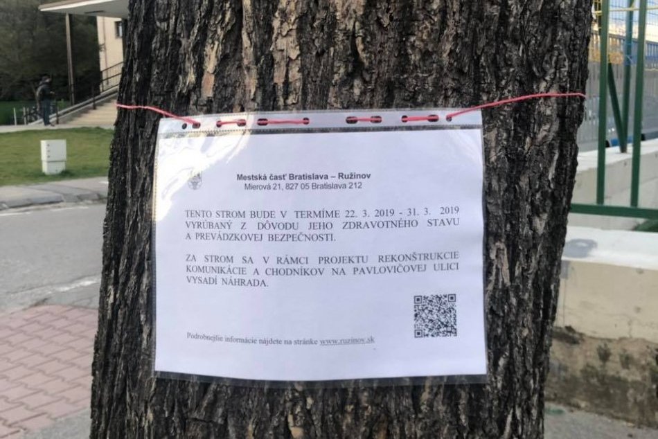 Výrub stromoradia v Trnávke