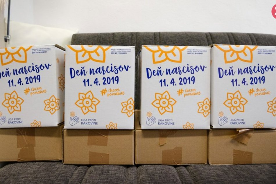 Je tu Deň narcisov: Žlté kvety zaplavili aj ulice Nitry, FOTO