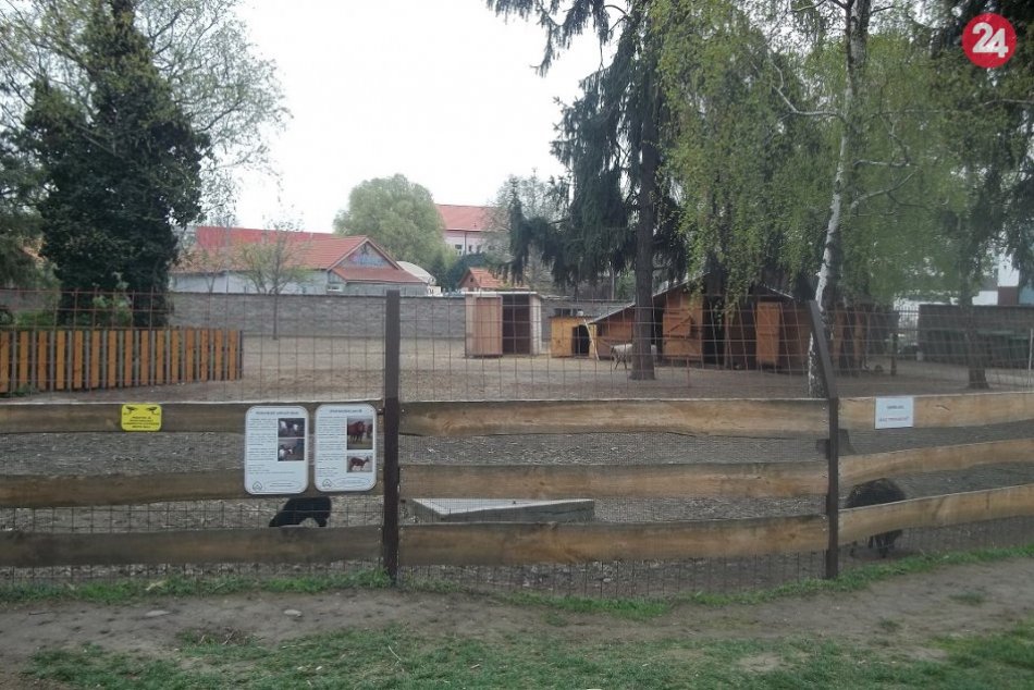 Babičkin dvor s novými obyvateľmi: Pribudla Robka, Bodka aj morky, FOTO