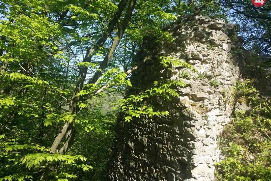 TOP 5 tém týždňa