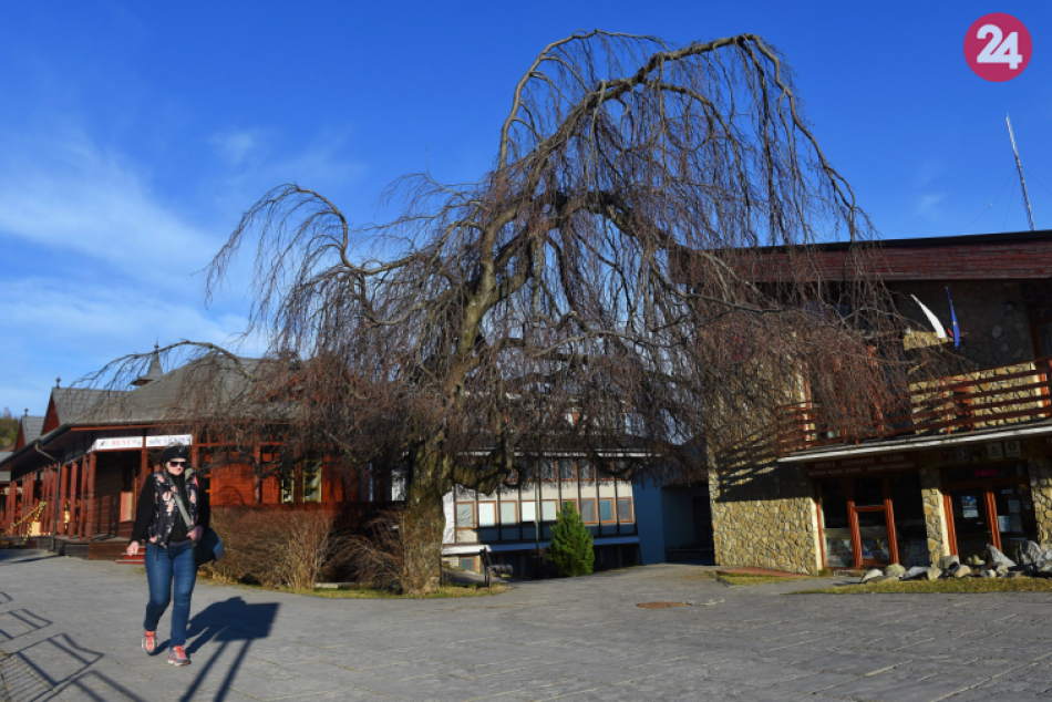 O zaujímavý buk v Starom Smokovci sa starajú horskí záchranári
