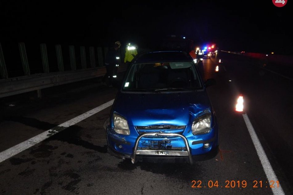 V OBRAZOCH: Srna sa zatúlala na R1, vodičke auta vošla do jazdnej dráhy