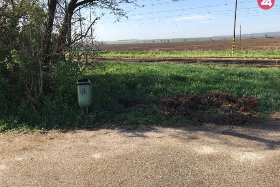 Páchateľ vytrhal viničné štepy v Strekove