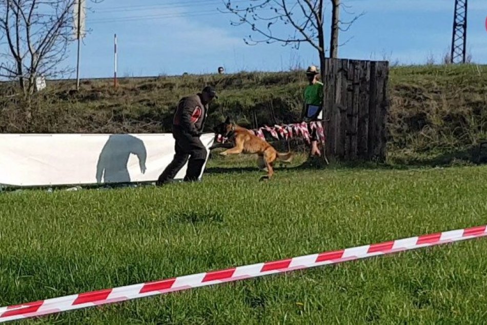 Policajný kynologický závod v Česku aj s novozámockou účasťou