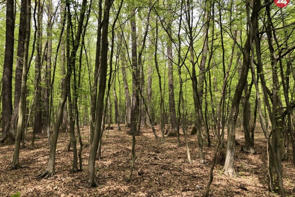 Obec Kokošovce ležiaca pri Prešove? Spoznajte ju bližšie vďaka týmto záberom