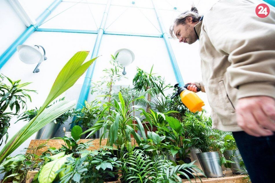 Oáza v Starej tržnici