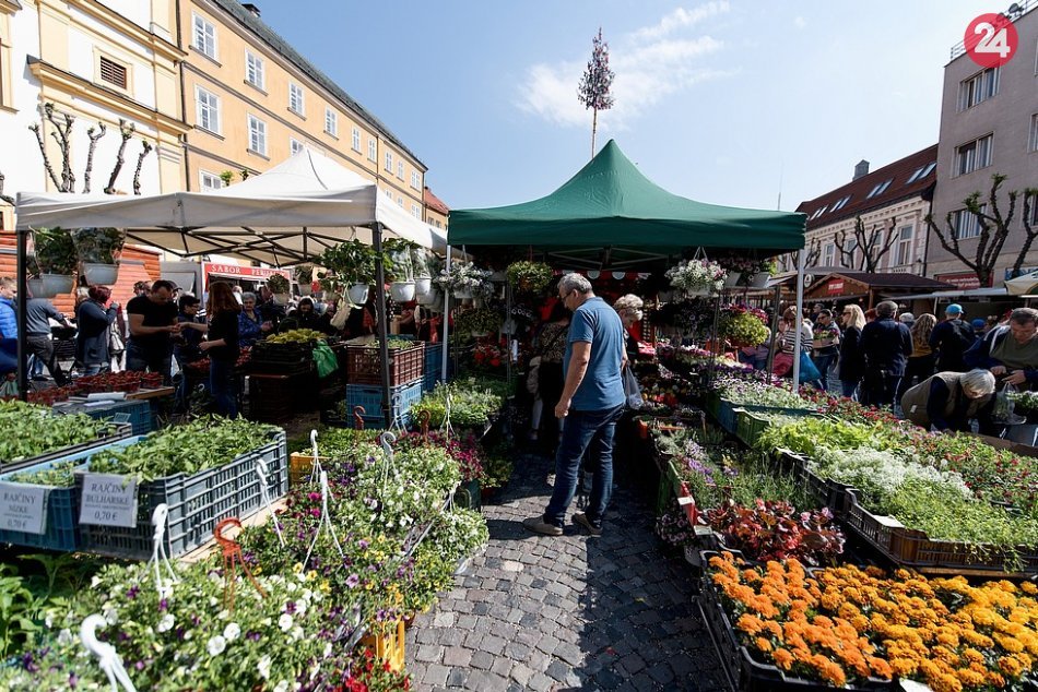 Trenčiansky majáles 2019 objektívom fotografa Juraja Majerského