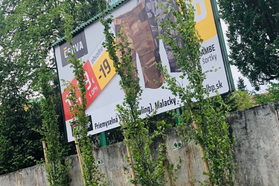 Starosta Malaciek zatočil s bilbordami