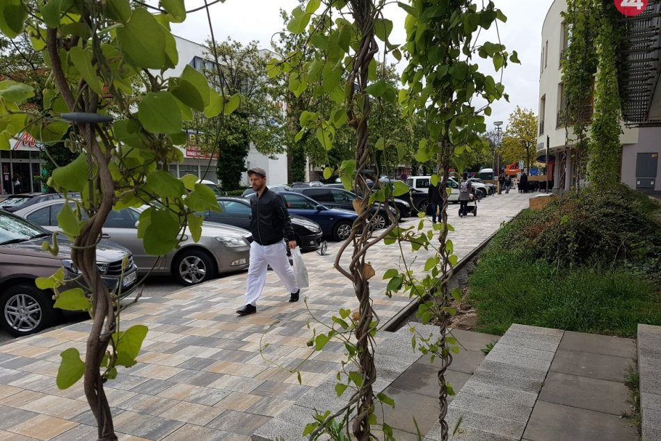 Paulínska mení svoj vzhľad: Rekonštrukcia chodníka je v plnom prúde