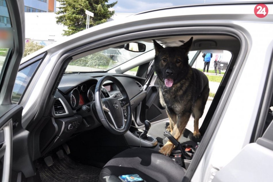 FOTO: Drogový zásah policajtov v Žiline