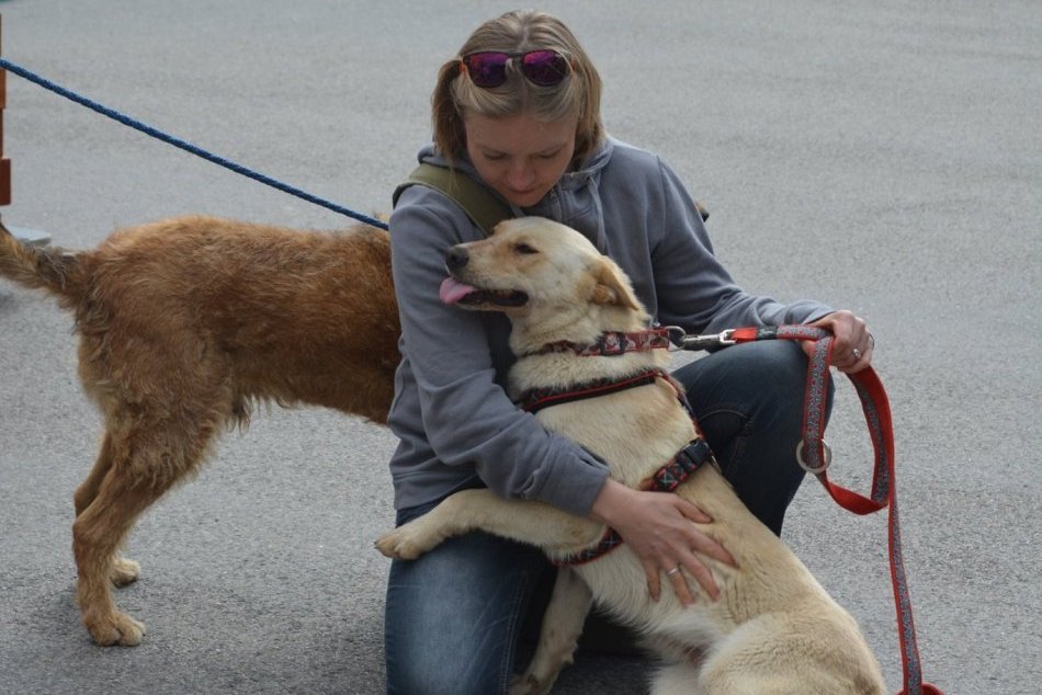 Kam v Bratislave zadarmo