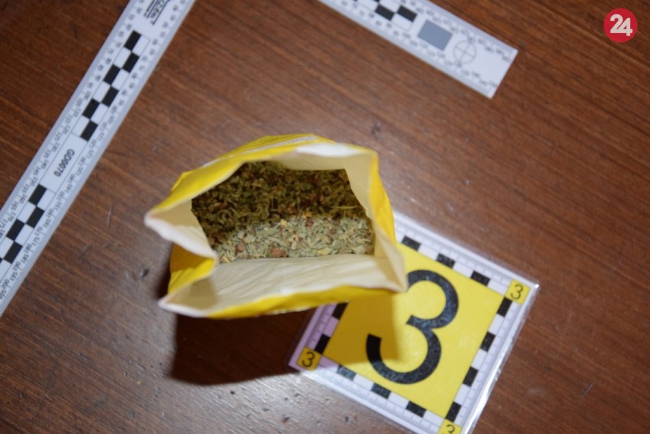 Policajné zábery z domovej prehliadky