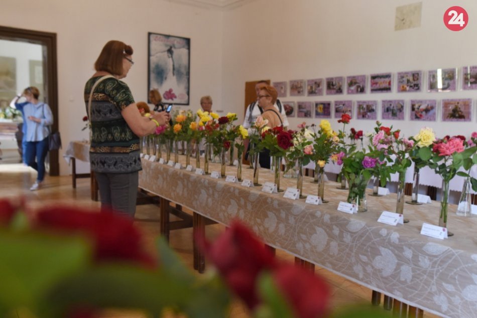 Dolná Krupá patrila ružiam