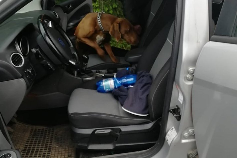 Mladíkovi z Dolnej Trnávky našli v aute drogy