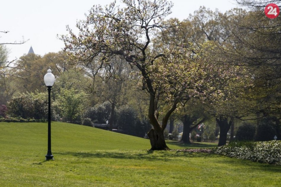 Trump a Macron zasadili dub