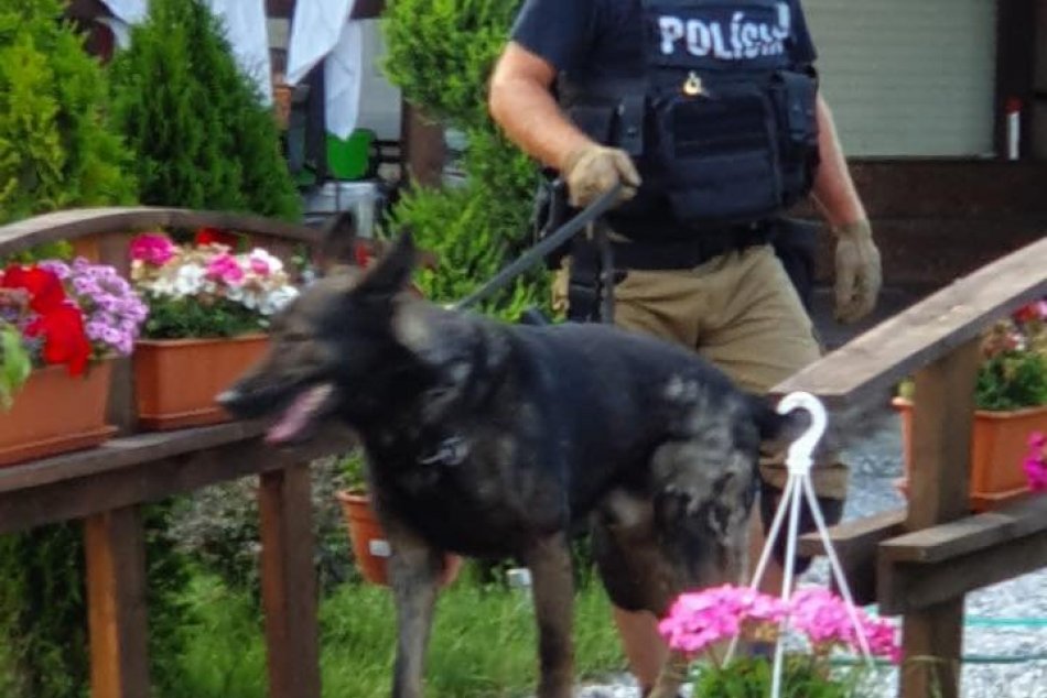 Veľká protidrogová akcia