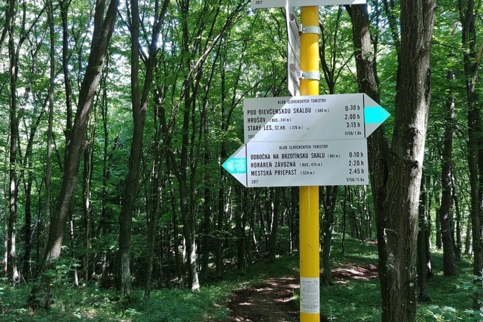 Obrazom: Brzotínska skala láka turistov výhľadom