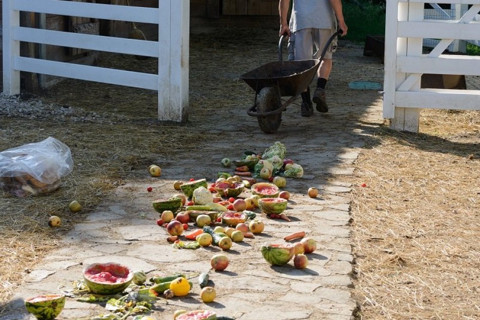 Šťavnatý melón i jablká: Zvieratá v parku majú počas horúčav pestrú stravu