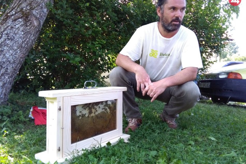V OBRAZOCH: Vo vzdelávacom centre otvorila Živica svoju tretiu včelnicu