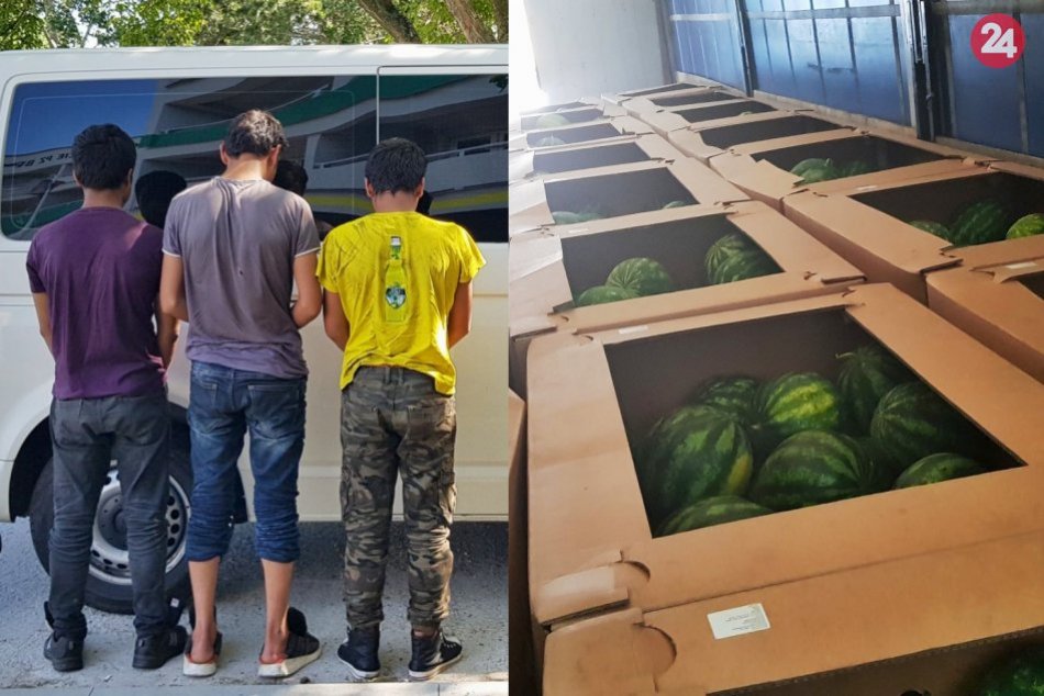 Afganci medzi melónmi