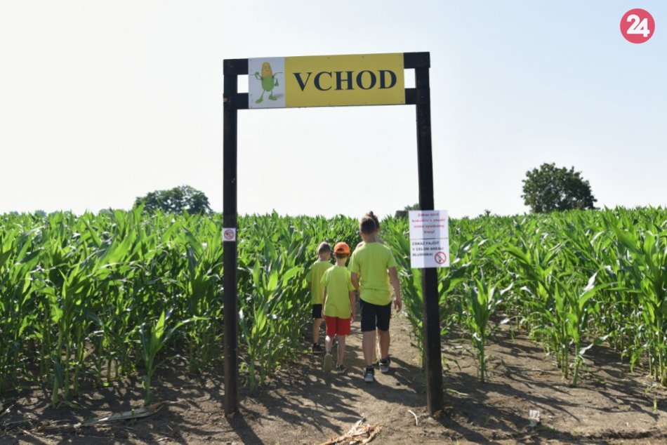 FOTO: Kukuričné bludisko pri Vlčkovciach
