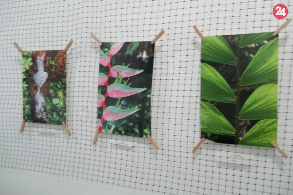 Objektív Františka Kollára: O cenu zabojovalo 12 súťažiacich, FOTO