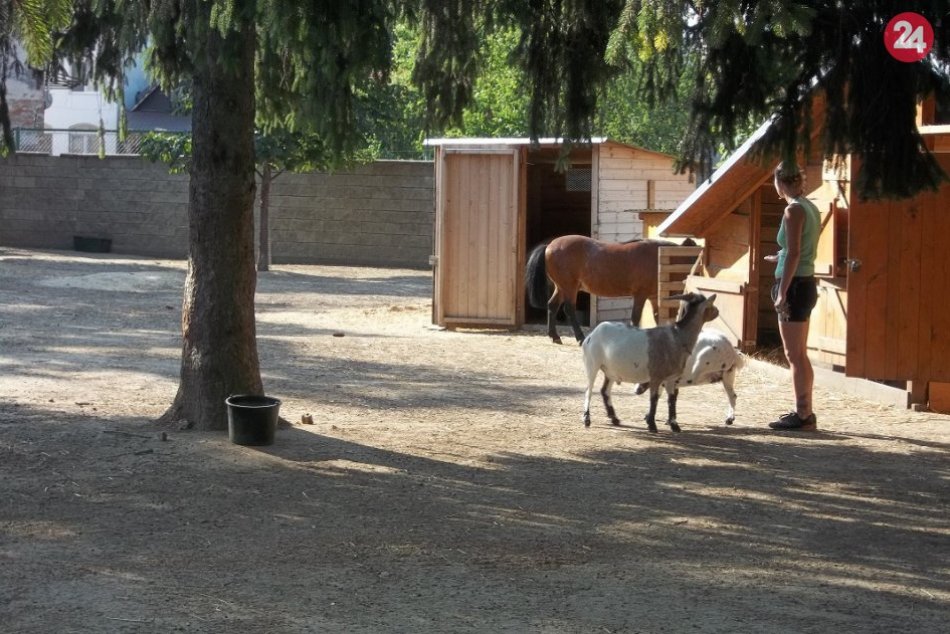 Pri Babičkinom dvore zvýšia komfort cyklistov: Deťom pribudne preliezka, FOTO