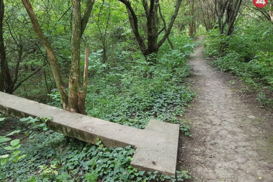 Cestička v Kamennom mlyne, na ktorej pribudne rozhľadňa