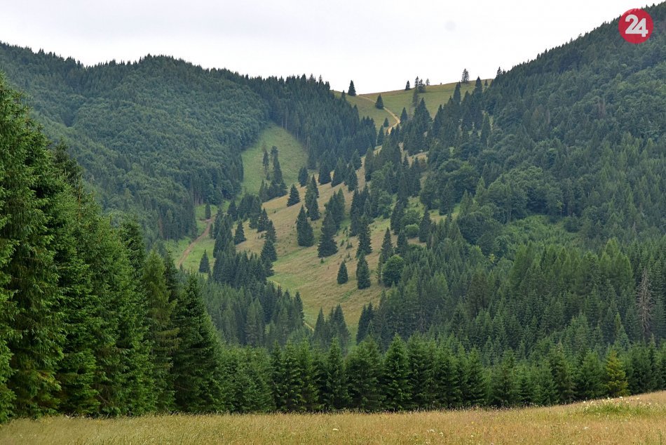 Tradičné kosenie kopaneckých luk vo Vernári
