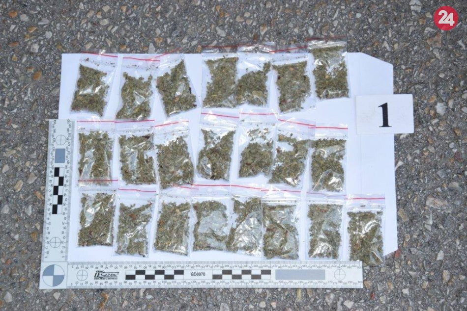 Dvaja muži skončili v rukách polície: Čelia obvineniu zo šírenia toxikománie