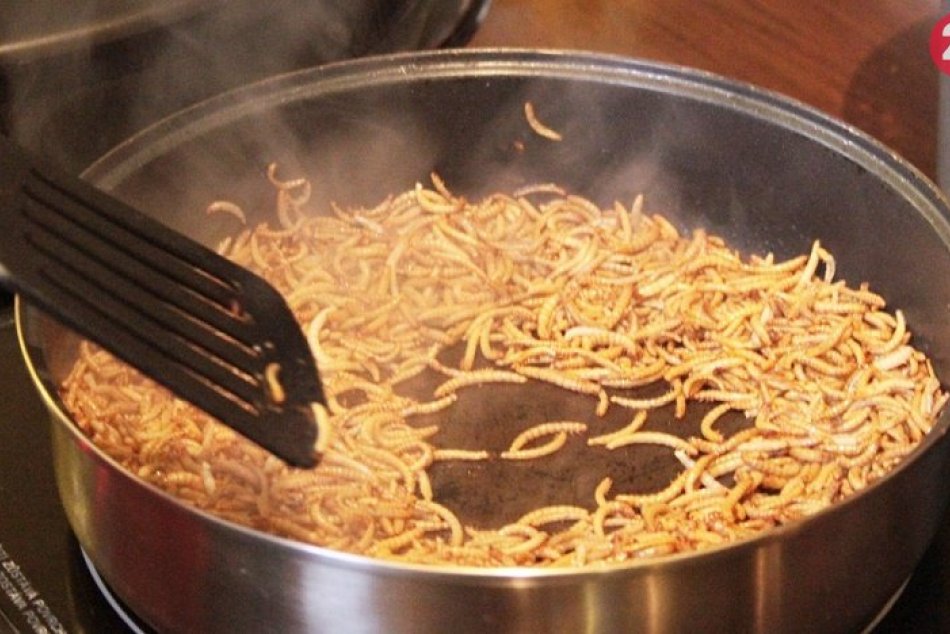 EXTREM FOOD FESTIVAL