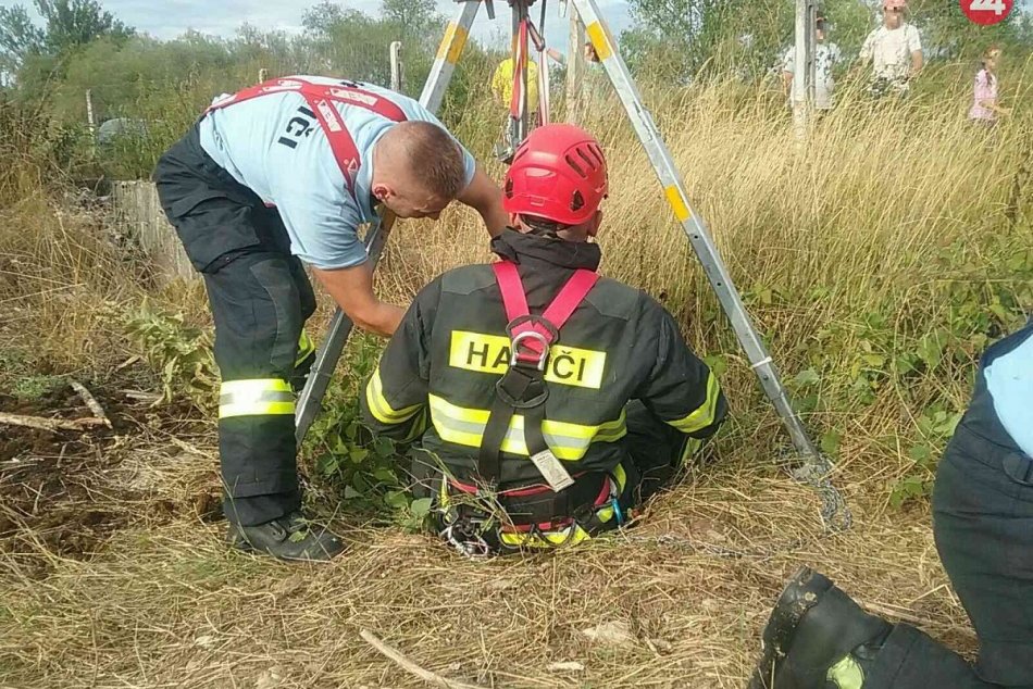 V Trenčianskom okrese uviazla v šachte srnka: Takto ju hasiči z nej dostali