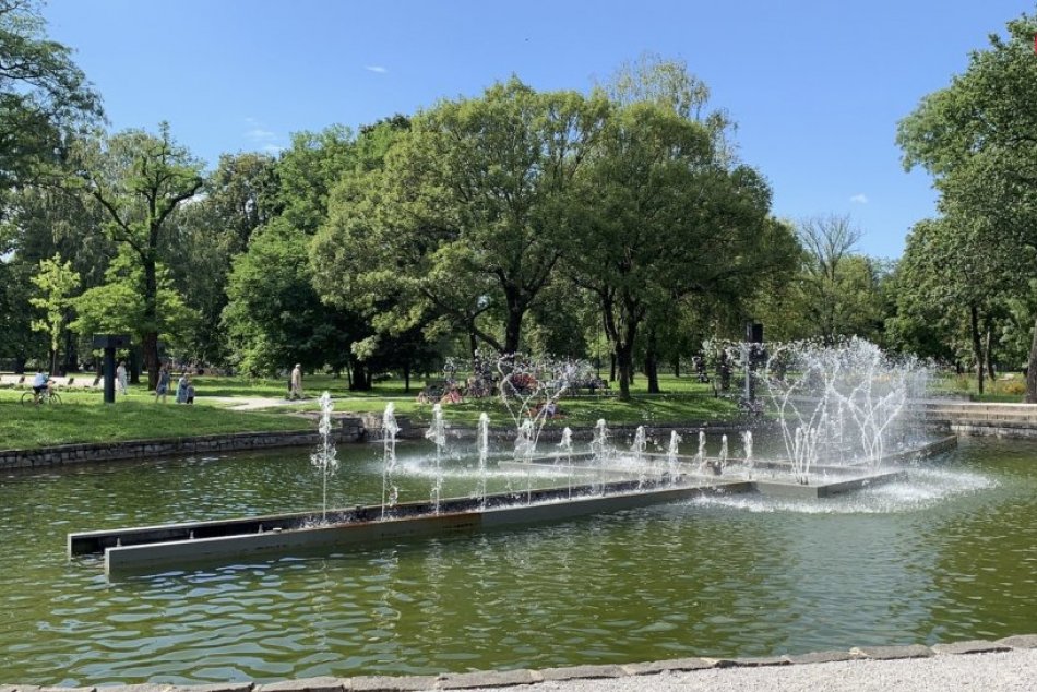 V OBRAZOCH: Piknik v parku